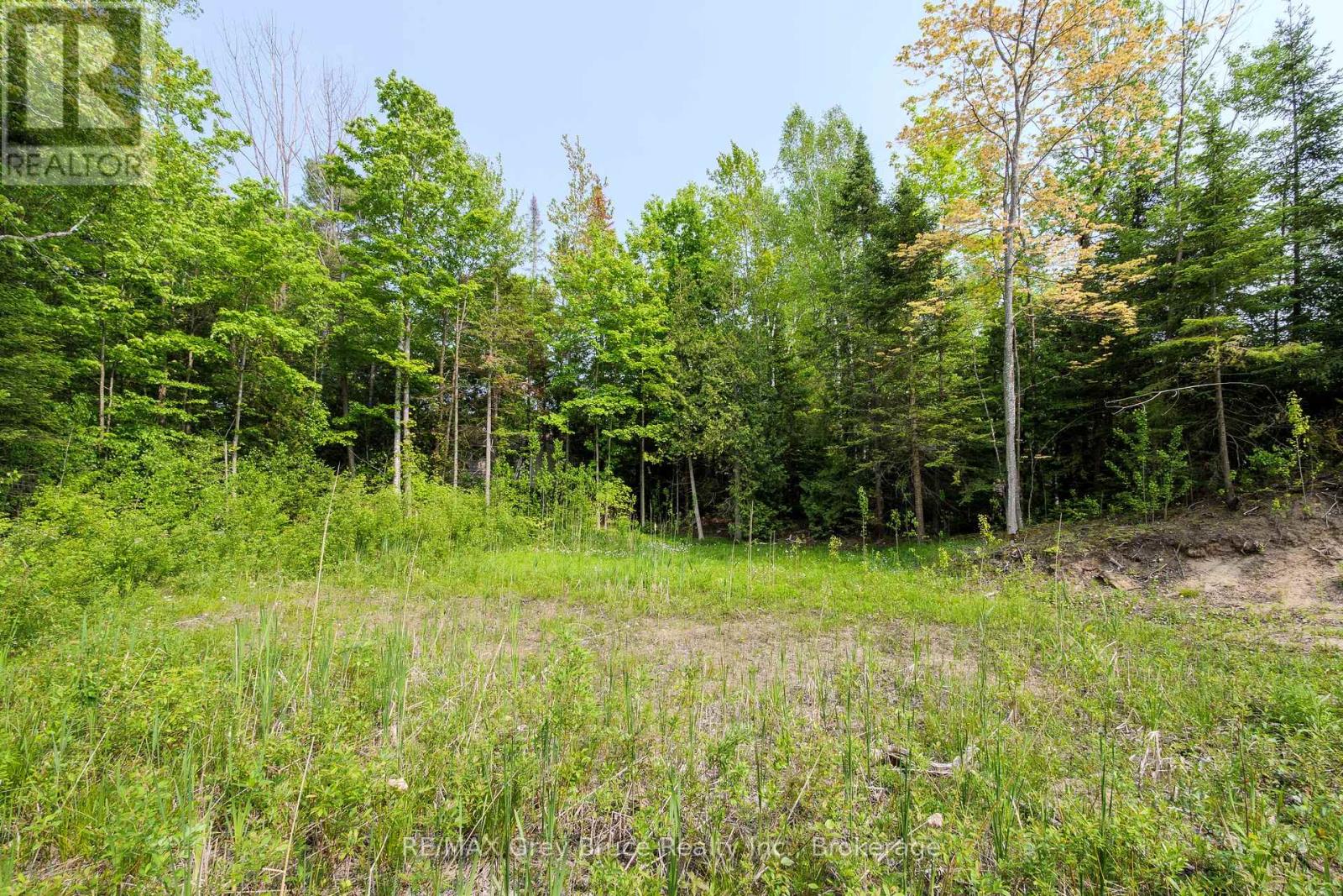 425 Dufferin Avenue, South Bruce Peninsula, Ontario N0H 2G0 - Photo 16 - X12984378