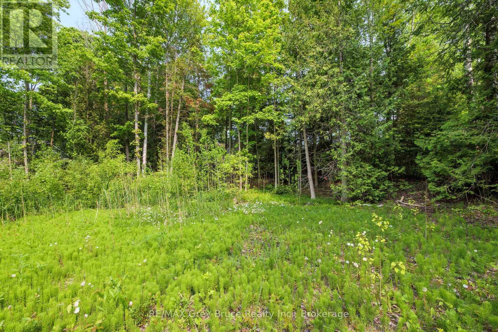 425 Dufferin Avenue, South Bruce Peninsula, Ontario N0H 2G0 - Photo 17 - X12984378