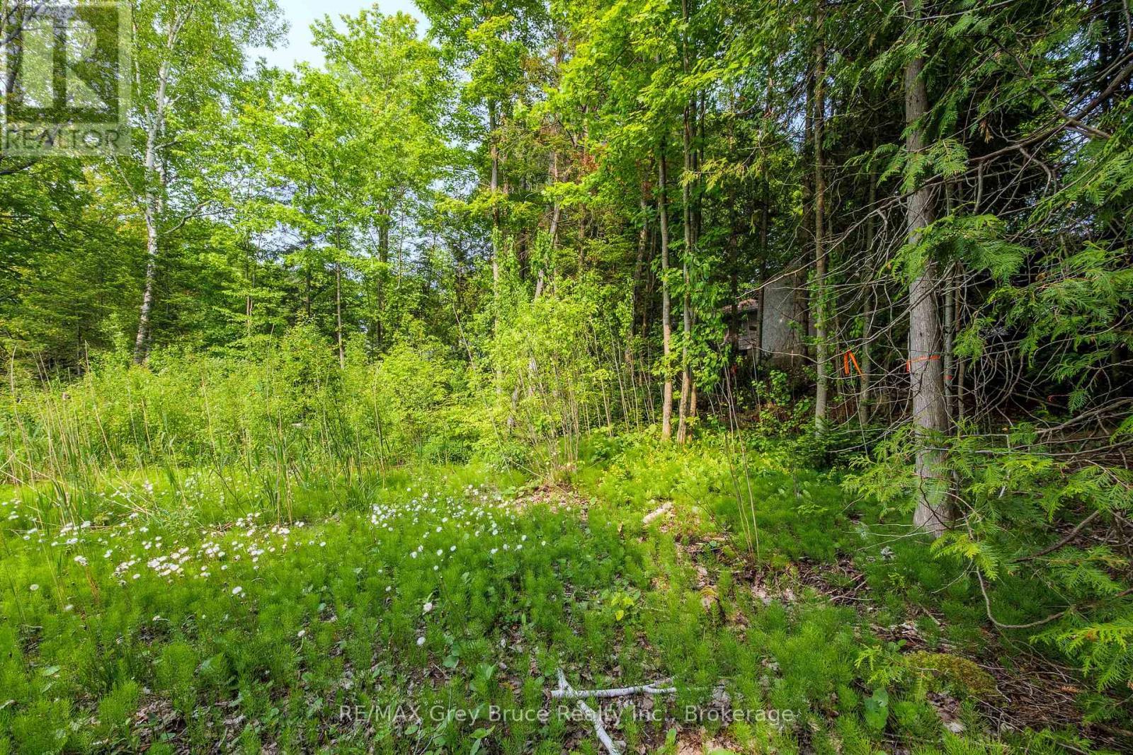 425 Dufferin Avenue, South Bruce Peninsula, Ontario N0H 2G0 - Photo 19 - X12984378