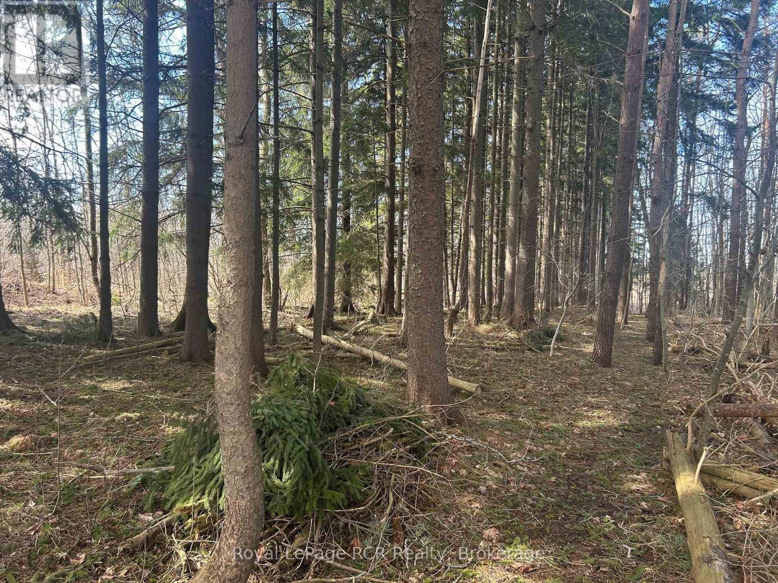 Ptlt9-10 Mcnaughton Street, South Bruce Peninsula, Ontario  N0H 2T0 - Photo 2 - X12984476