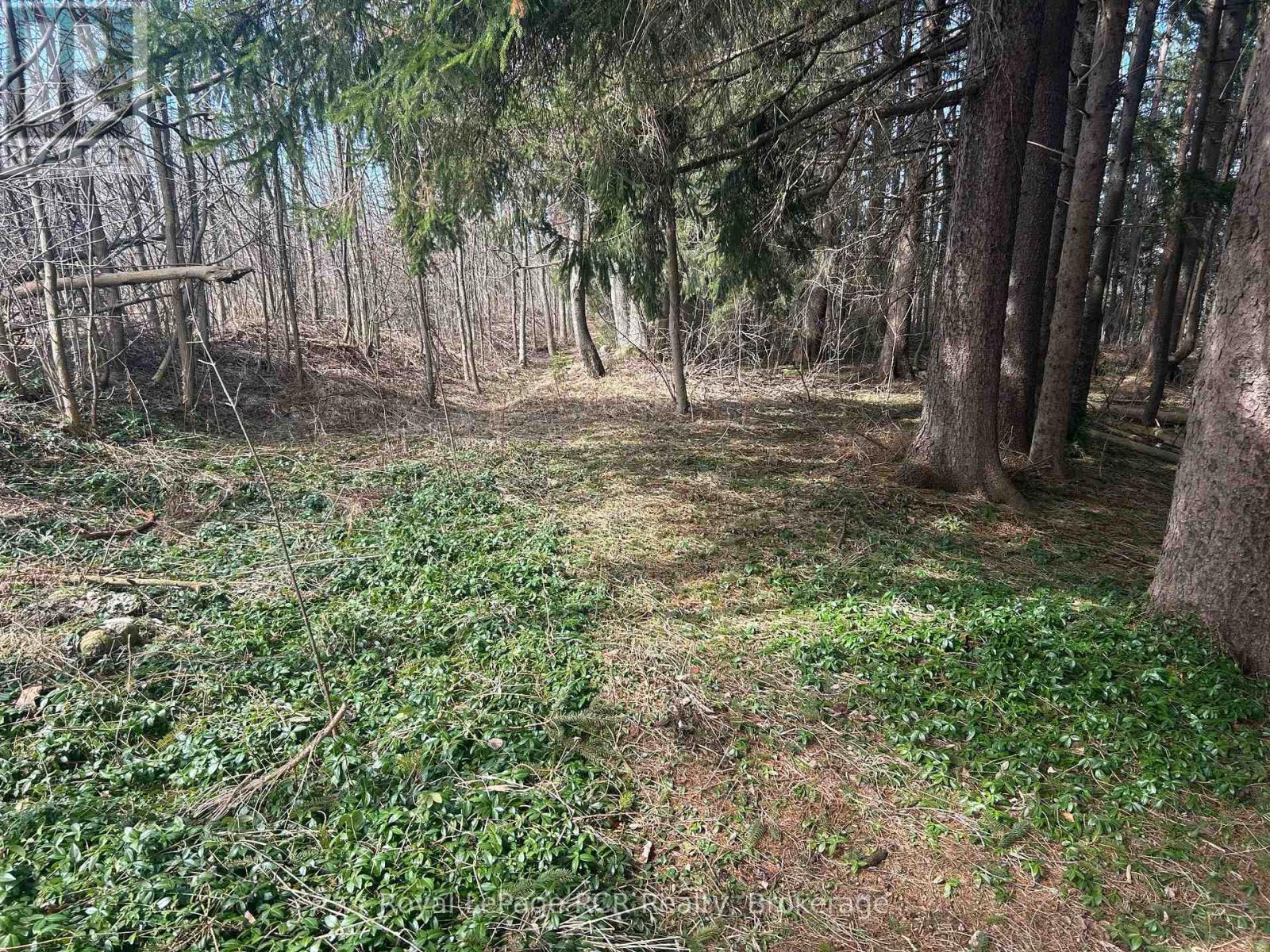 Ptlt9-10 Mcnaughton Street, South Bruce Peninsula, Ontario  N0H 2T0 - Photo 3 - X12984476