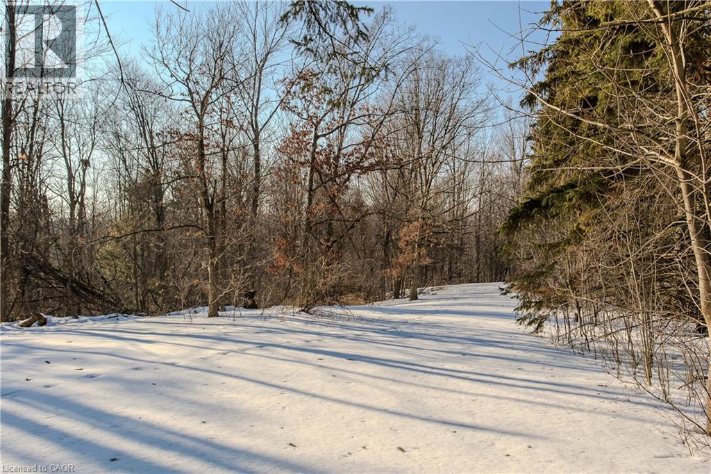 2431 Britannia Road, Burlington, Ontario  L7P 0E9 - Photo 36 - 40806405