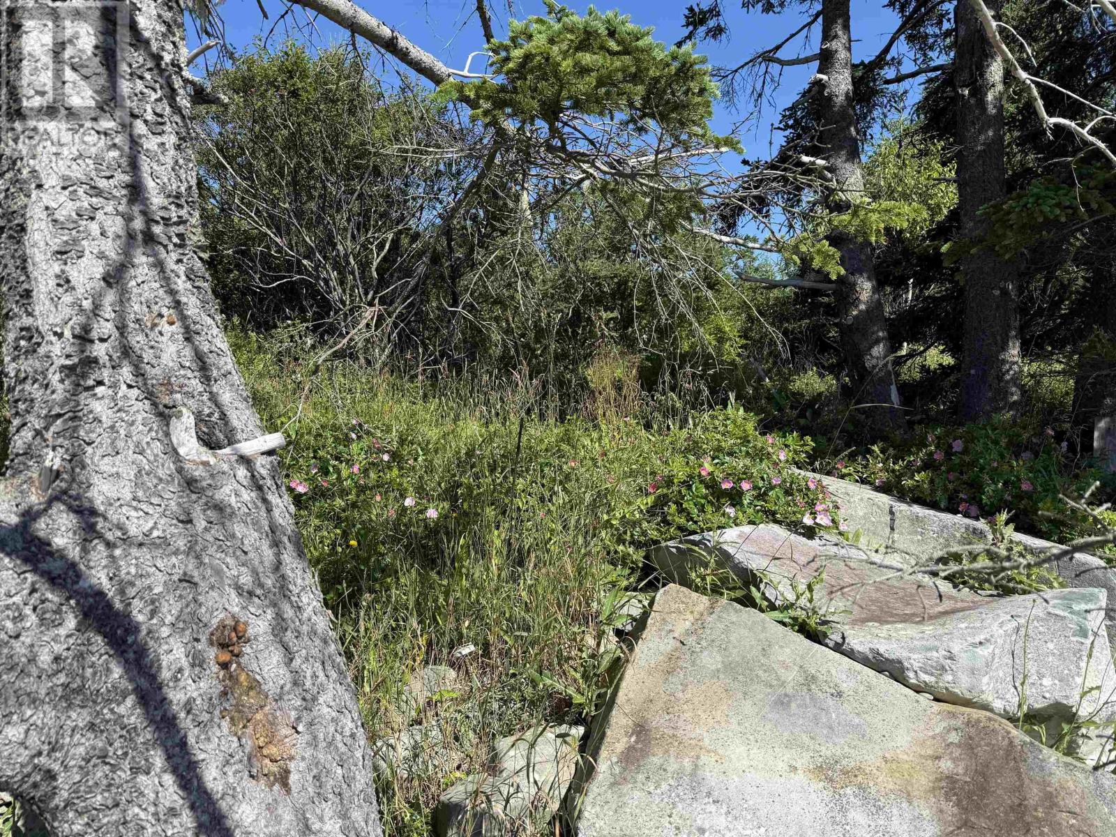 7843 Highway 331, Cherry Hill, Nova Scotia  B0J 2H0 - Photo 17 - 202606883