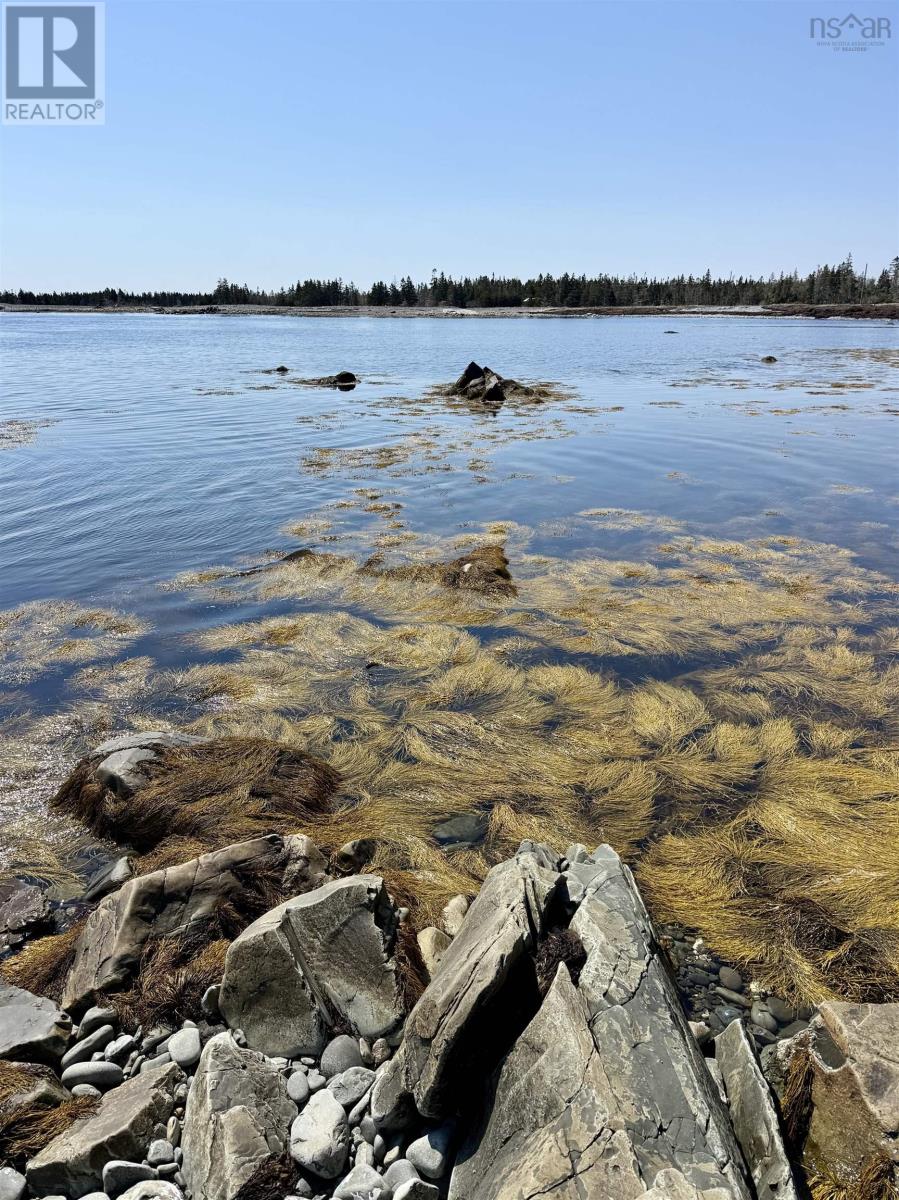 7843 Highway 331, Cherry Hill, Nova Scotia  B0J 2H0 - Photo 39 - 202606883