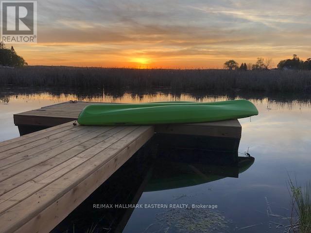 50 Birch Point Drive, Kawartha Lakes, Ontario  K0L 1T0 - Photo 35 - X12984658