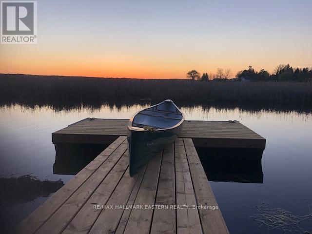 50 Birch Point Drive, Kawartha Lakes, Ontario  K0L 1T0 - Photo 6 - X12984658