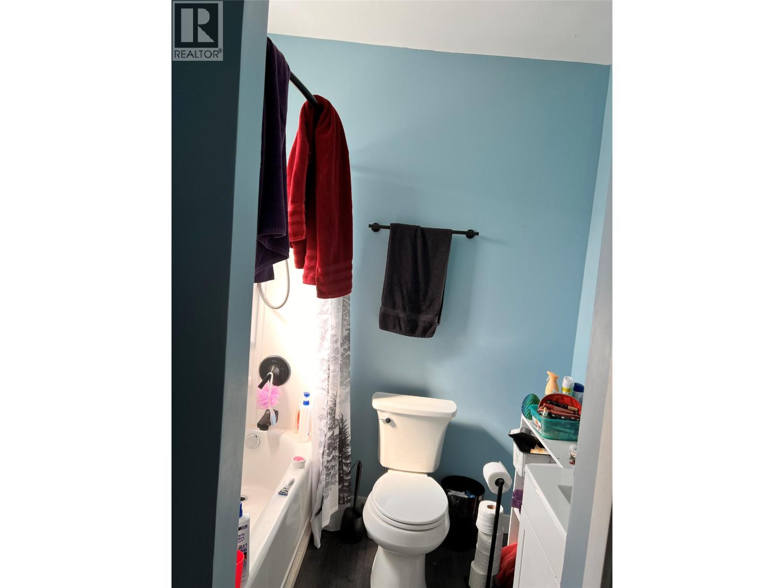 123 13th Avenue S, Cranbrook, British Columbia  V1C 2V6 - Photo 5 - 10382798