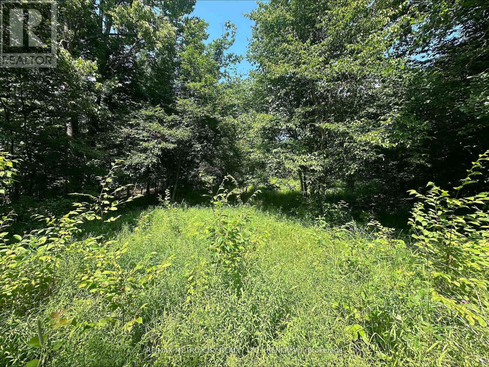 0 Mount St Patrick Road, Admaston/bromley, Ontario  K0J 1N0 - Photo 11 - X12984728