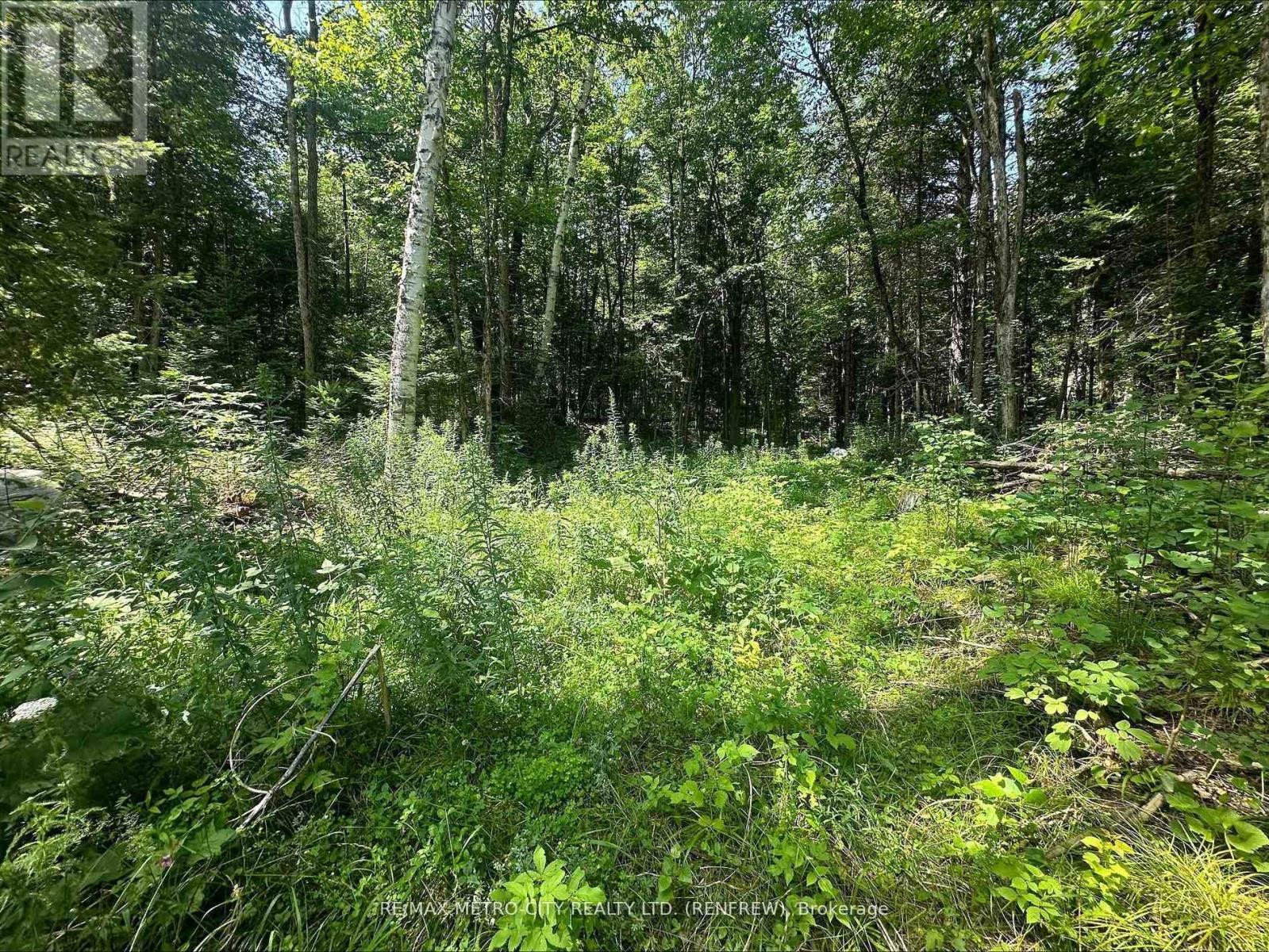 0 Mount St Patrick Road, Admaston/bromley, Ontario  K0J 1N0 - Photo 12 - X12984728