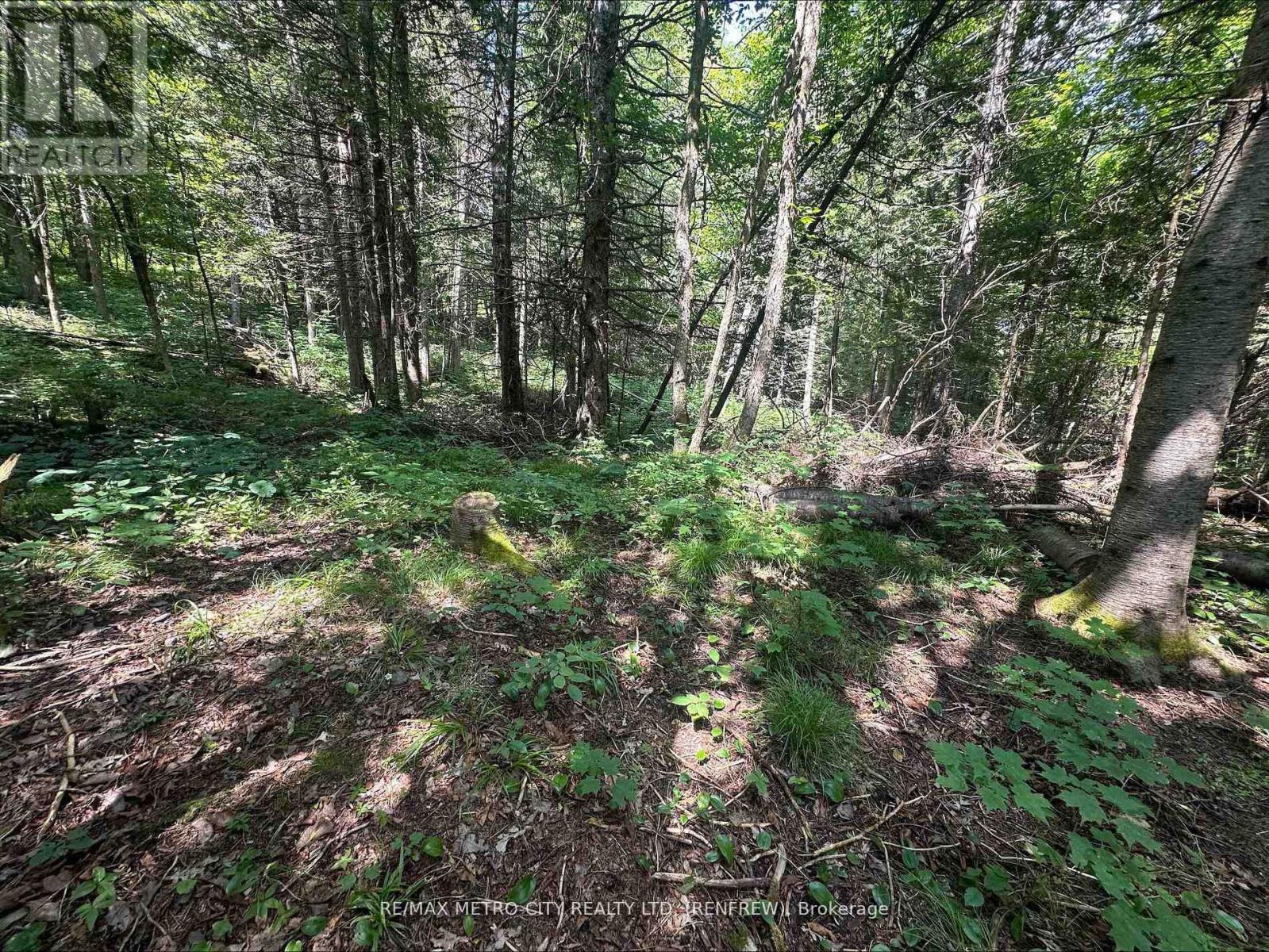 0 Mount St Patrick Road, Admaston/bromley, Ontario  K0J 1N0 - Photo 13 - X12984728