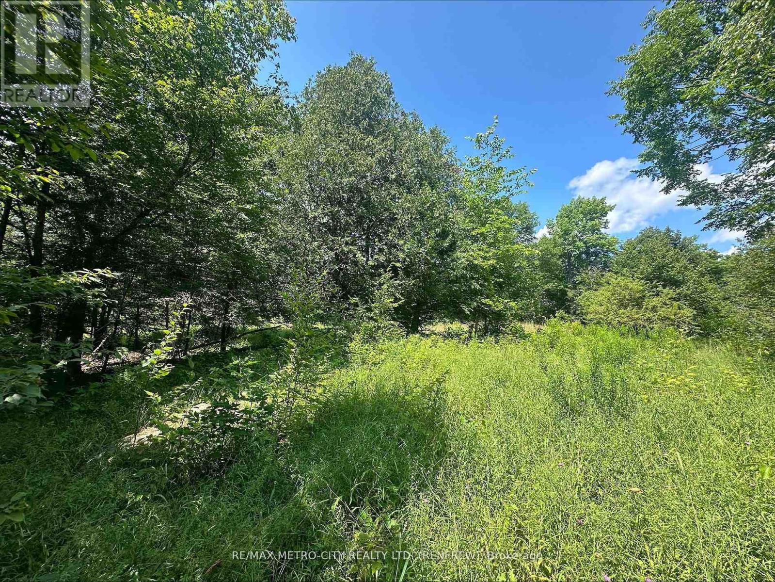 0 Mount St Patrick Road, Admaston/bromley, Ontario  K0J 1N0 - Photo 4 - X12984728