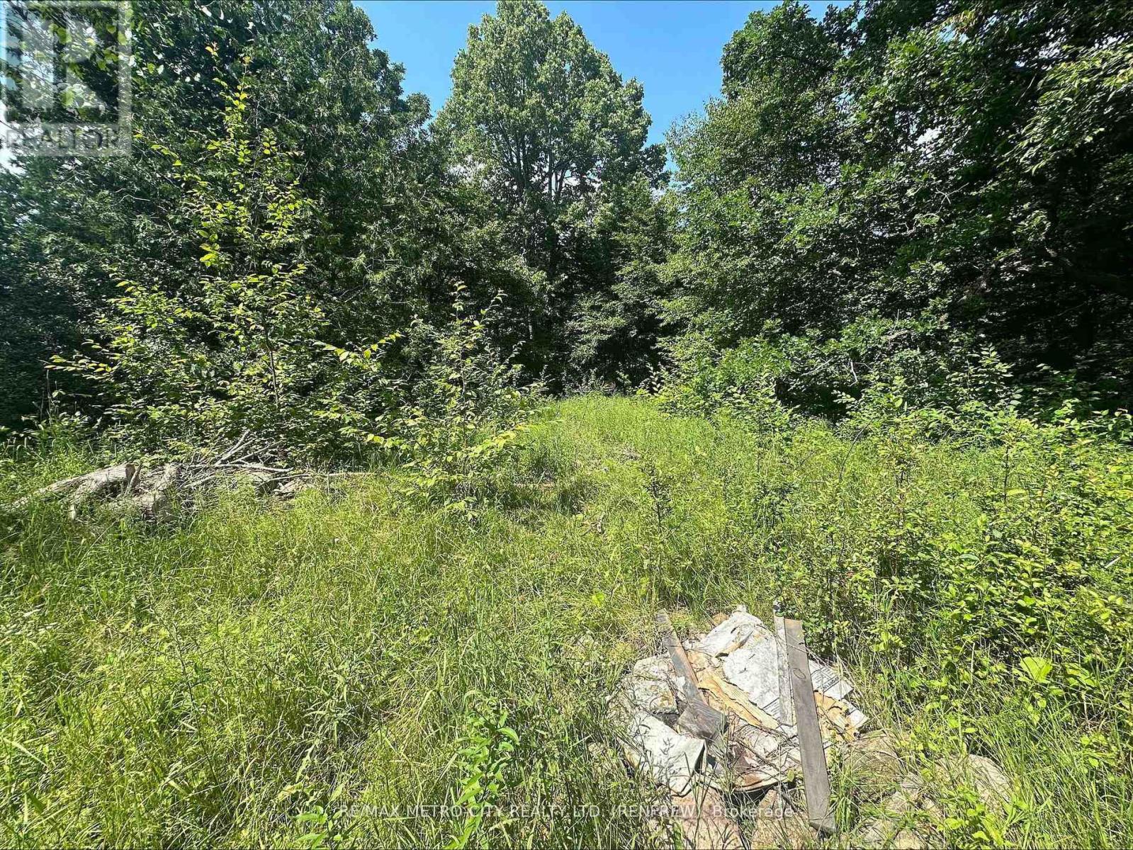 0 Mount St Patrick Road, Admaston/bromley, Ontario  K0J 1N0 - Photo 6 - X12984728