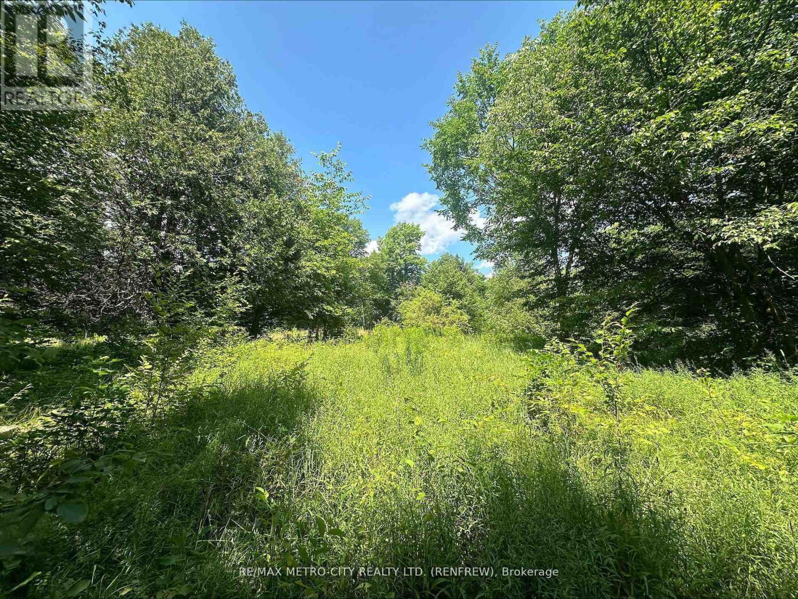 0 Mount St Patrick Road, Admaston/bromley, Ontario  K0J 1N0 - Photo 9 - X12984728