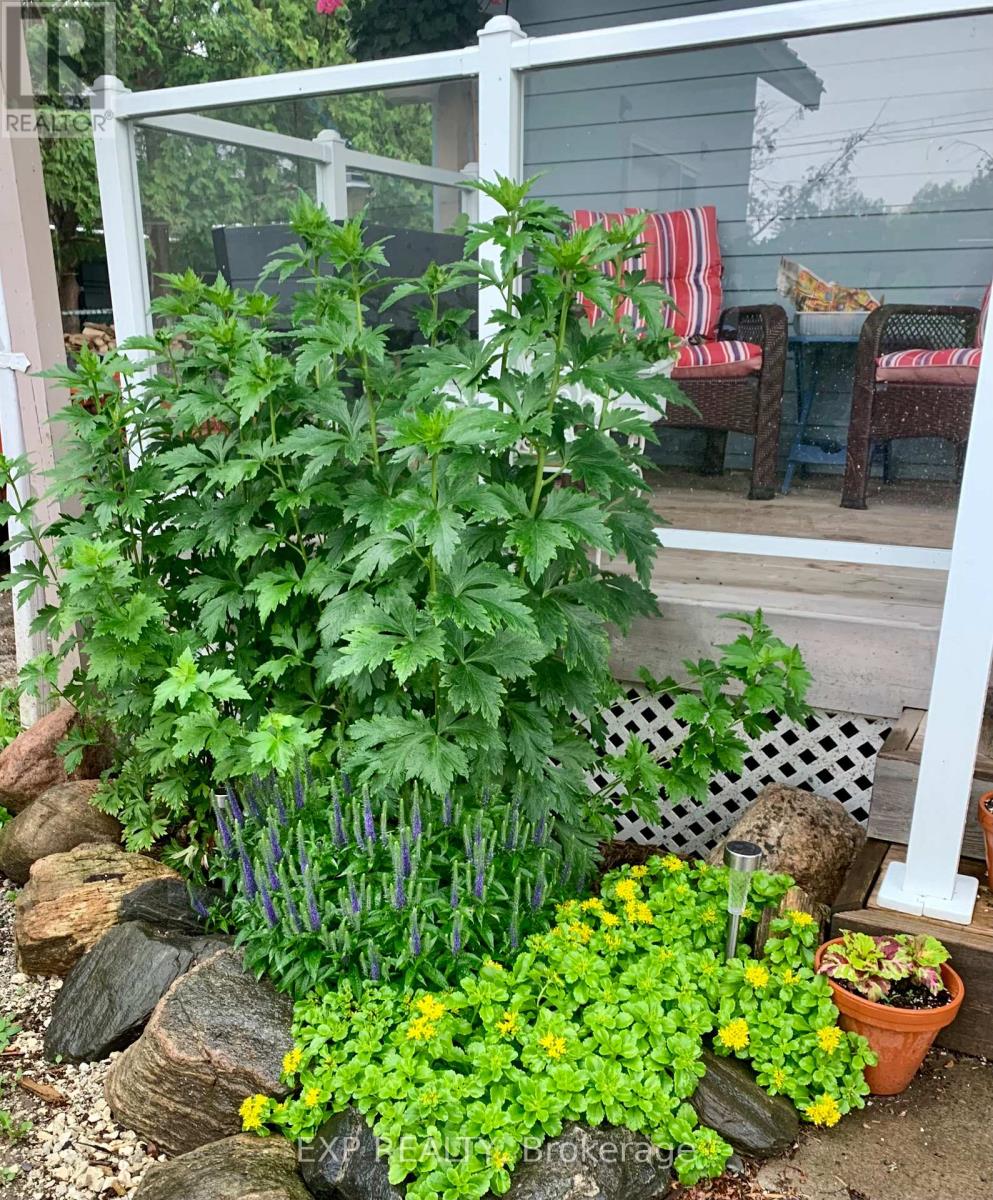 1104 Ferrier Avenue, Innisfil, Ontario  L0L 1W0 - Photo 47 - N12968516