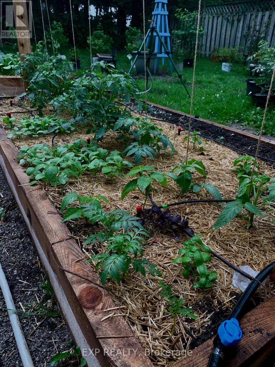 1104 Ferrier Avenue, Innisfil, Ontario  L0L 1W0 - Photo 44 - N12968516