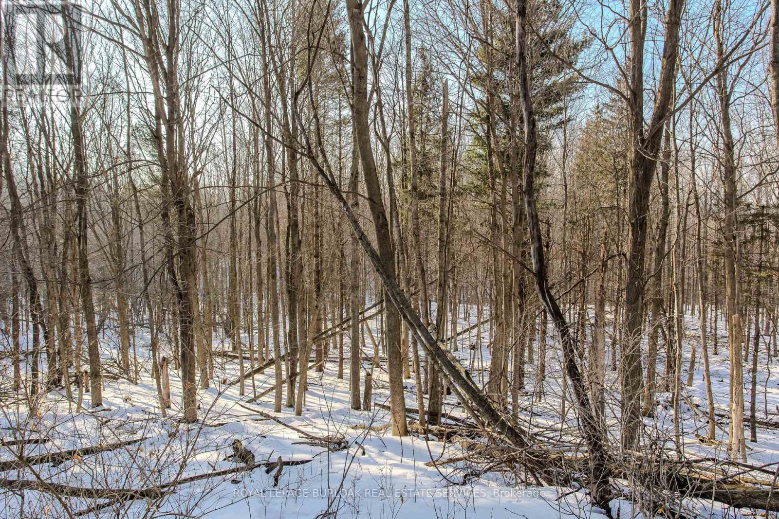 2431 Britannia Road, Burlington, Ontario  L7P 0E9 - Photo 37 - W12806876