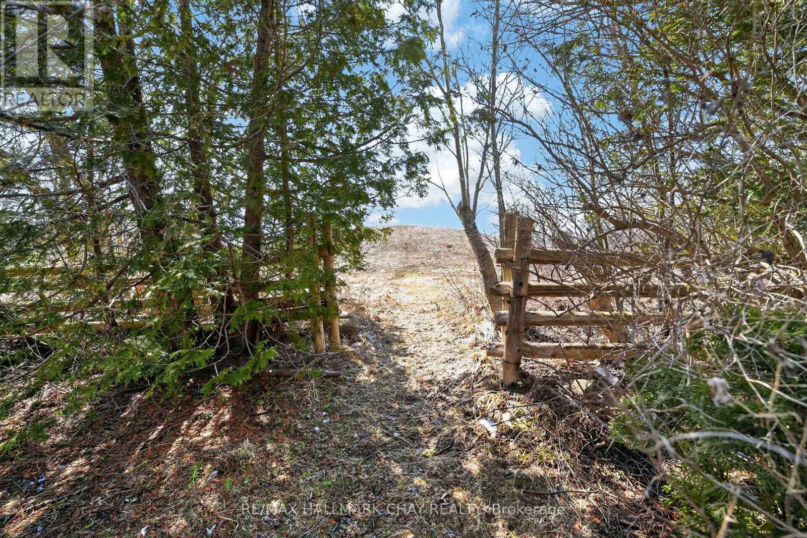 224 Thornton Avenue, Essa (Thornton), Ontario  L0L 2N0 - Photo 43 - N12984564