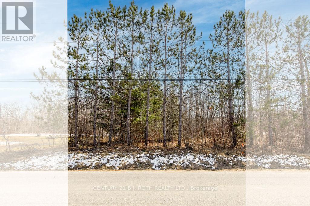 37 Todd Lane, Tay, Ontario  L0K 2A0 - Photo 12 - S12984694