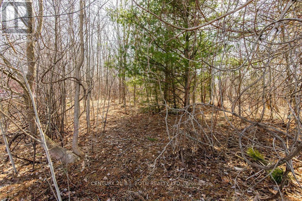 37 Todd Lane, Tay, Ontario  L0K 2A0 - Photo 16 - S12984694