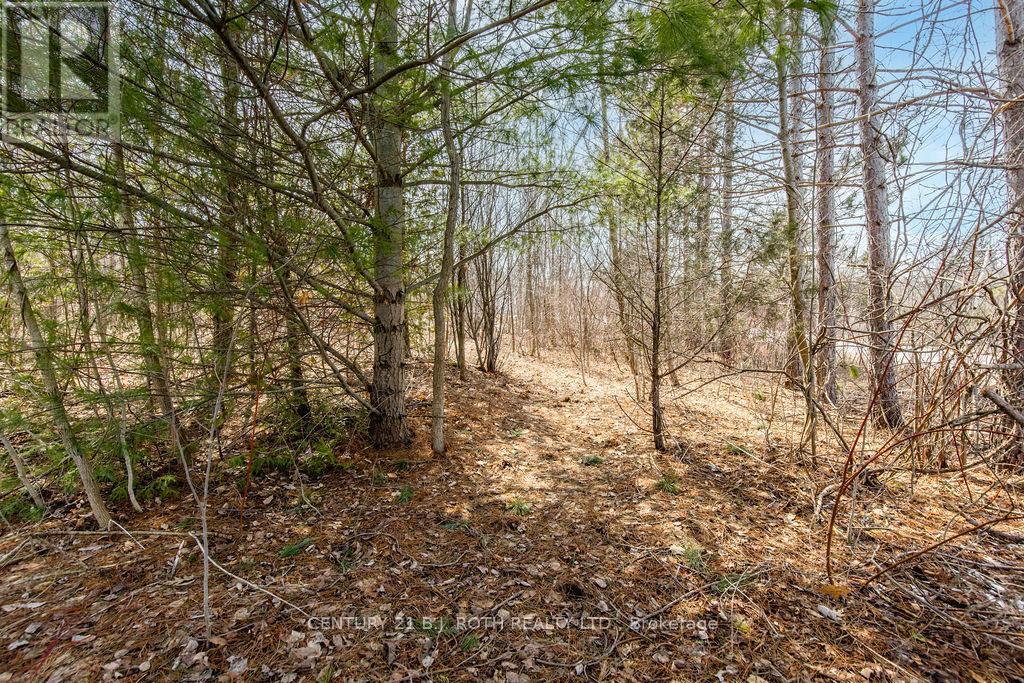 37 Todd Lane, Tay, Ontario  L0K 2A0 - Photo 17 - S12984694