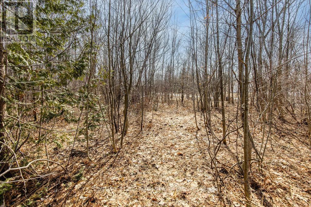 37 Todd Lane, Tay, Ontario  L0K 2A0 - Photo 18 - S12984694