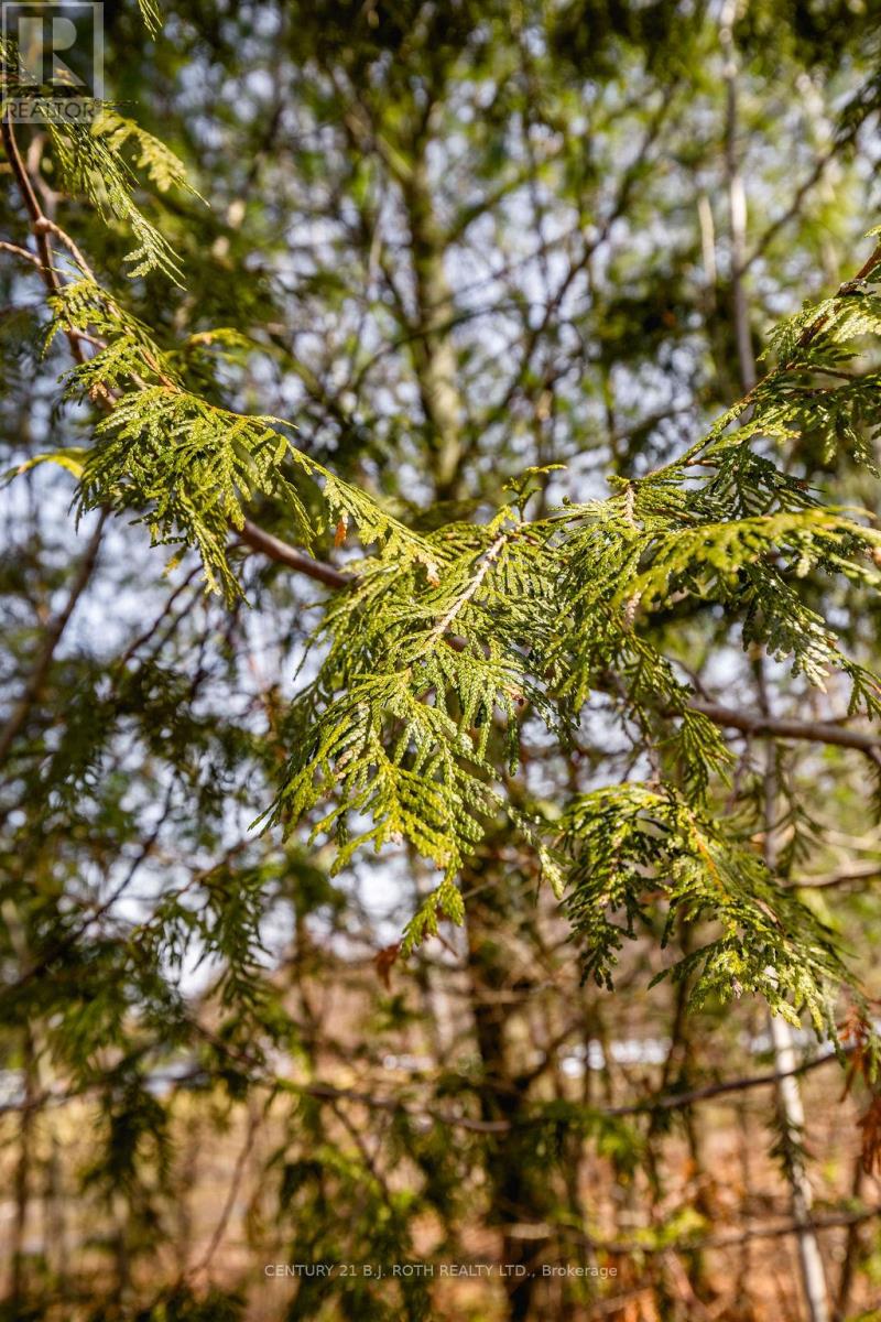 37 Todd Lane, Tay, Ontario  L0K 2A0 - Photo 20 - S12984694