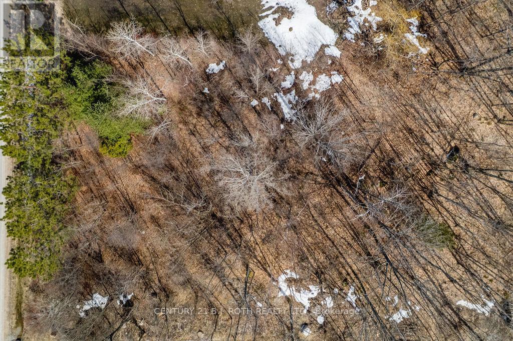 37 Todd Lane, Tay, Ontario  L0K 2A0 - Photo 4 - S12984694