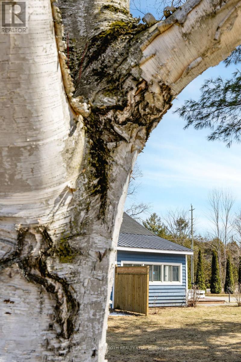 490 Park Street, Tay, Ontario  L0K 2A0 - Photo 41 - S12984718