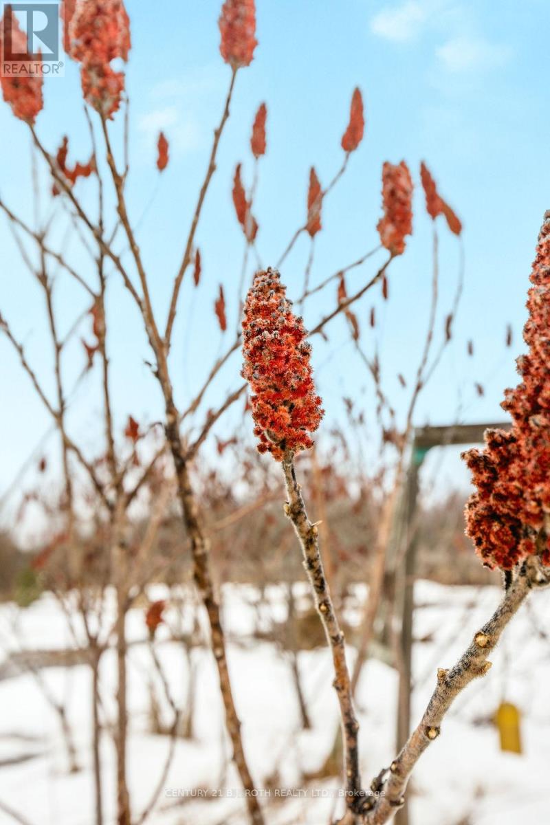 3400 Reservoir Drive, Severn, Ontario  L0K 1E0 - Photo 35 - S12984724