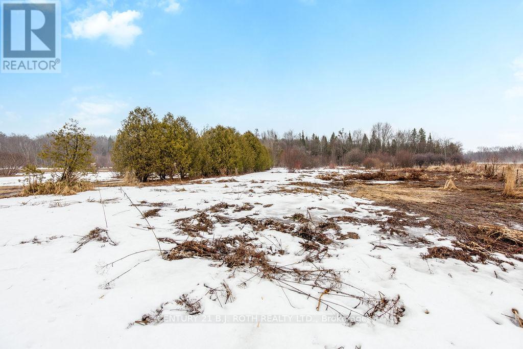 3400 Reservoir Drive, Severn, Ontario  L0K 1E0 - Photo 37 - S12984724