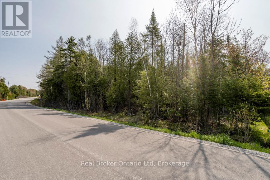 Lot 438 Champlain Road, Tiny, Ontario  L9M 1S5 - Photo 4 - S12949244