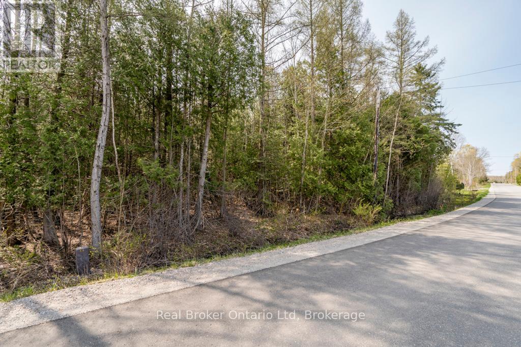 Lot 438 Champlain Road, Tiny, Ontario  L9M 1S5 - Photo 8 - S12949244