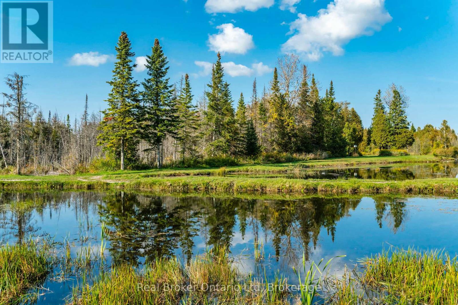 407047 Grey 4 Road, Grey Highlands, Ontario  N0C 1E0 - Photo 45 - X12766810