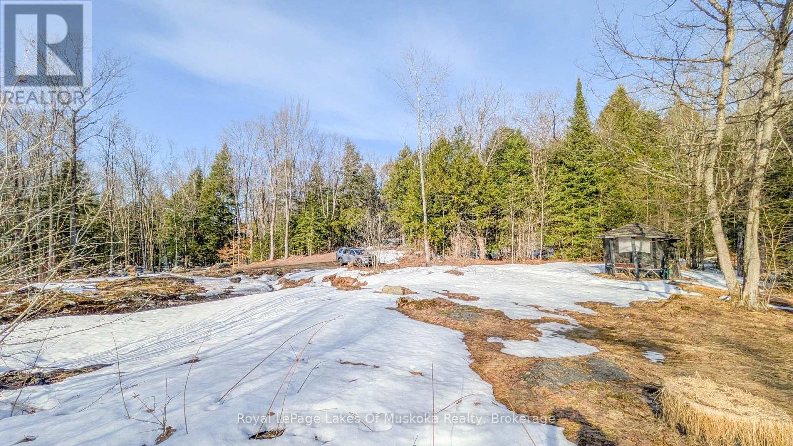 1100 Raymond Road, Muskoka Lakes, Ontario  P0B 1M0 - Photo 4 - X12854322