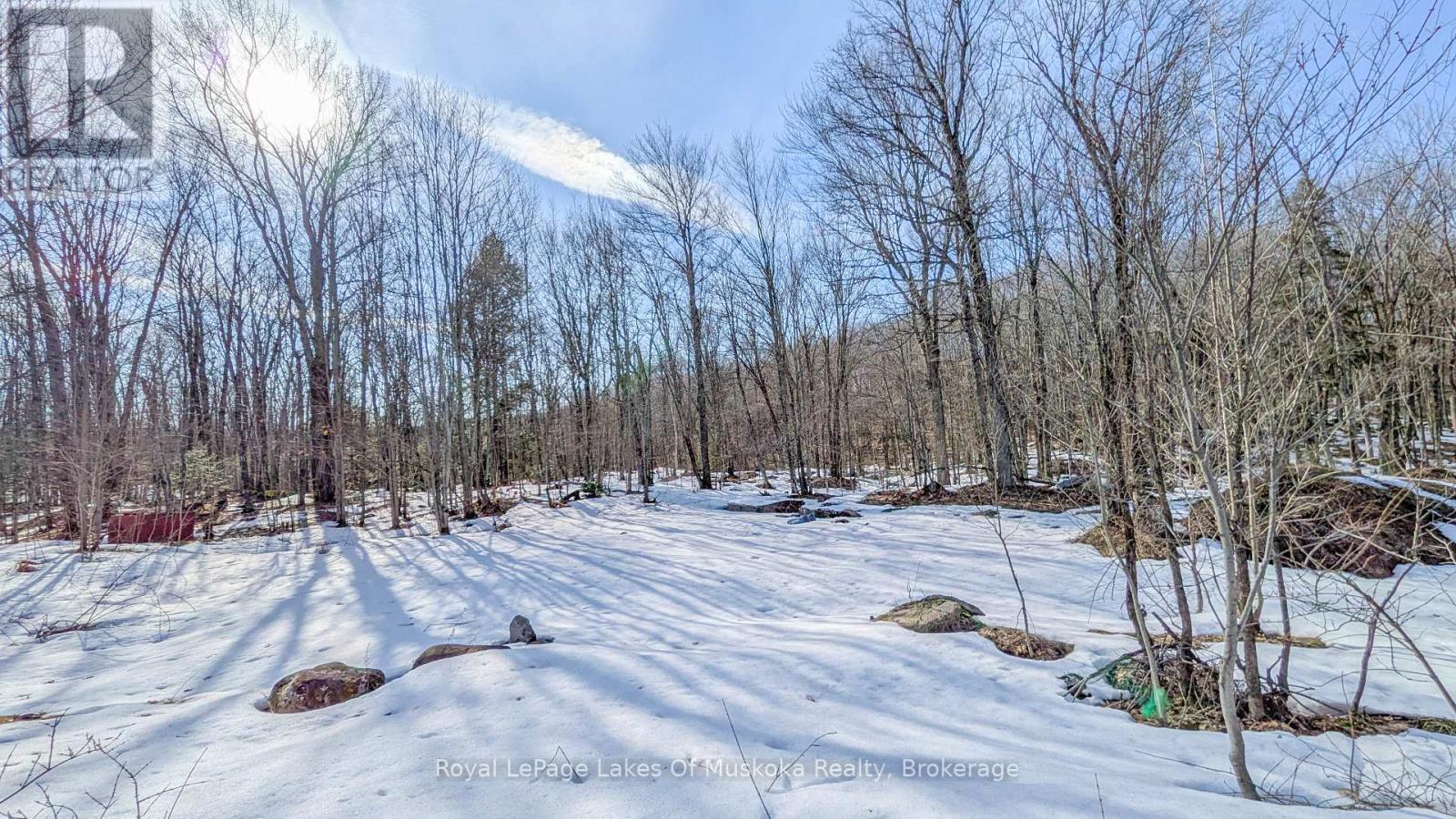 1100 Raymond Road, Muskoka Lakes, Ontario  P0B 1M0 - Photo 3 - X12854322