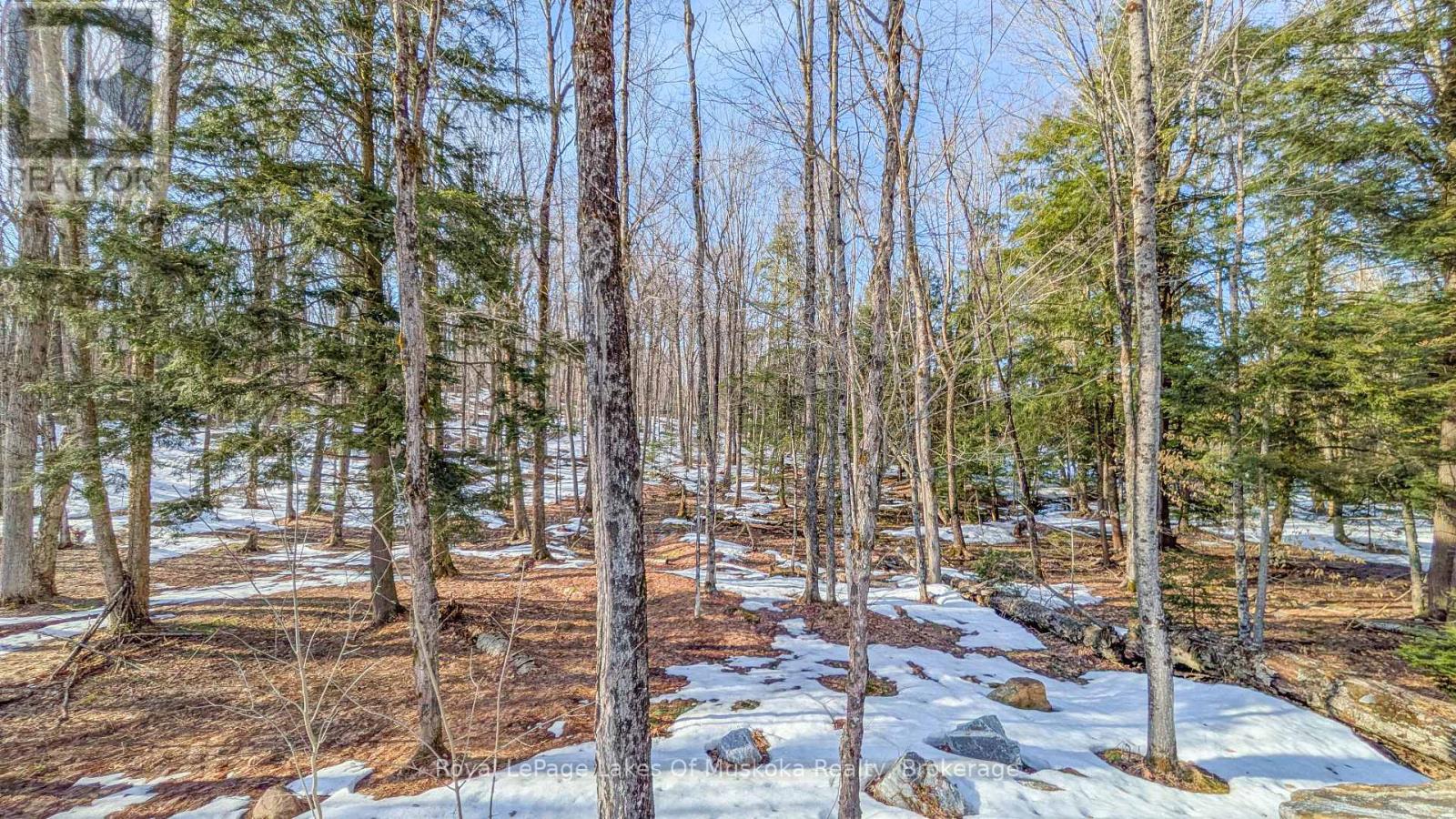 1100 Raymond Road, Muskoka Lakes, Ontario  P0B 1M0 - Photo 10 - X12854322