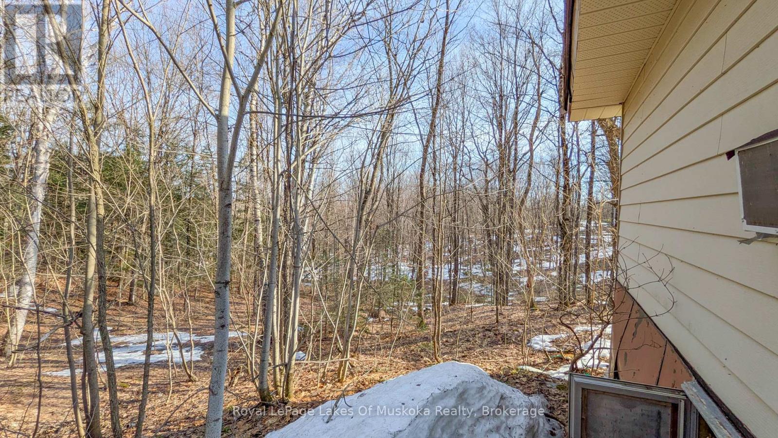 1100 Raymond Road, Muskoka Lakes, Ontario  P0B 1M0 - Photo 18 - X12854322