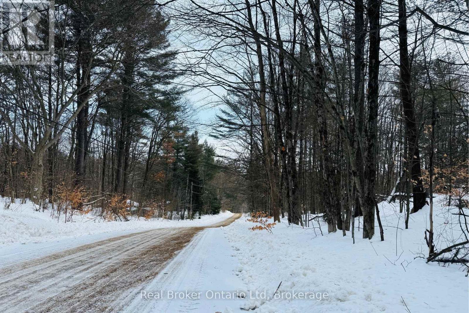 Lt Pt 3 Whites Road, Muskoka Lakes, Ontario  P0B 1J0 - Photo 9 - X12710132