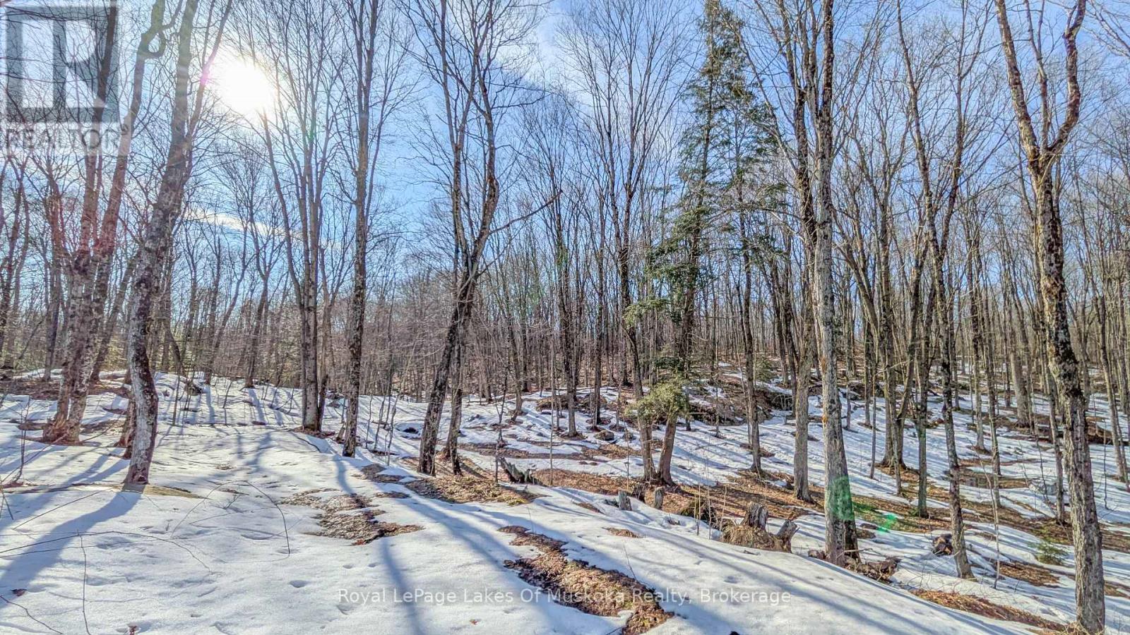 1100 Raymond Road, Muskoka Lakes, Ontario  P0B 1M0 - Photo 11 - X12854322