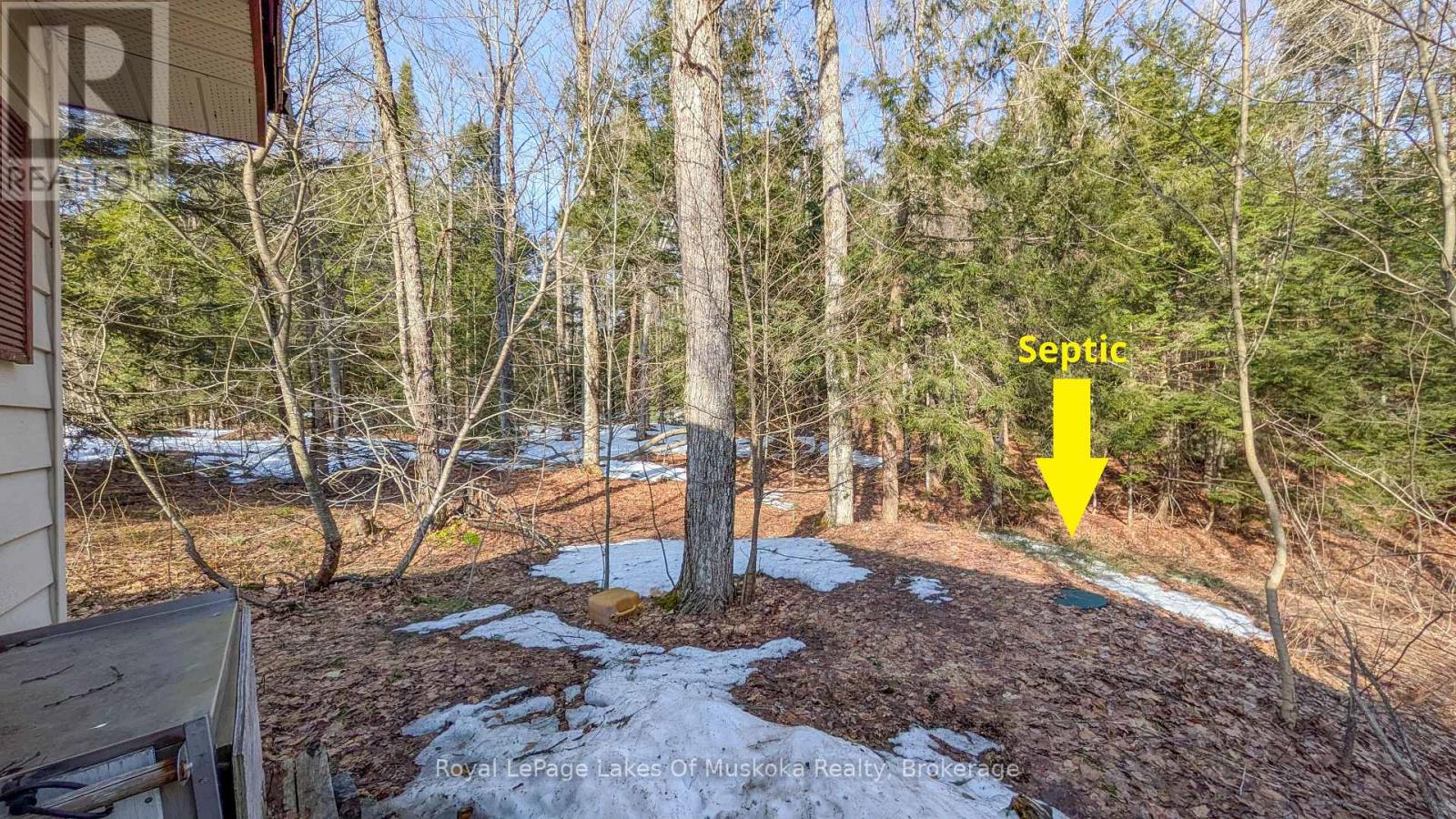 1100 Raymond Road, Muskoka Lakes, Ontario  P0B 1M0 - Photo 19 - X12854322