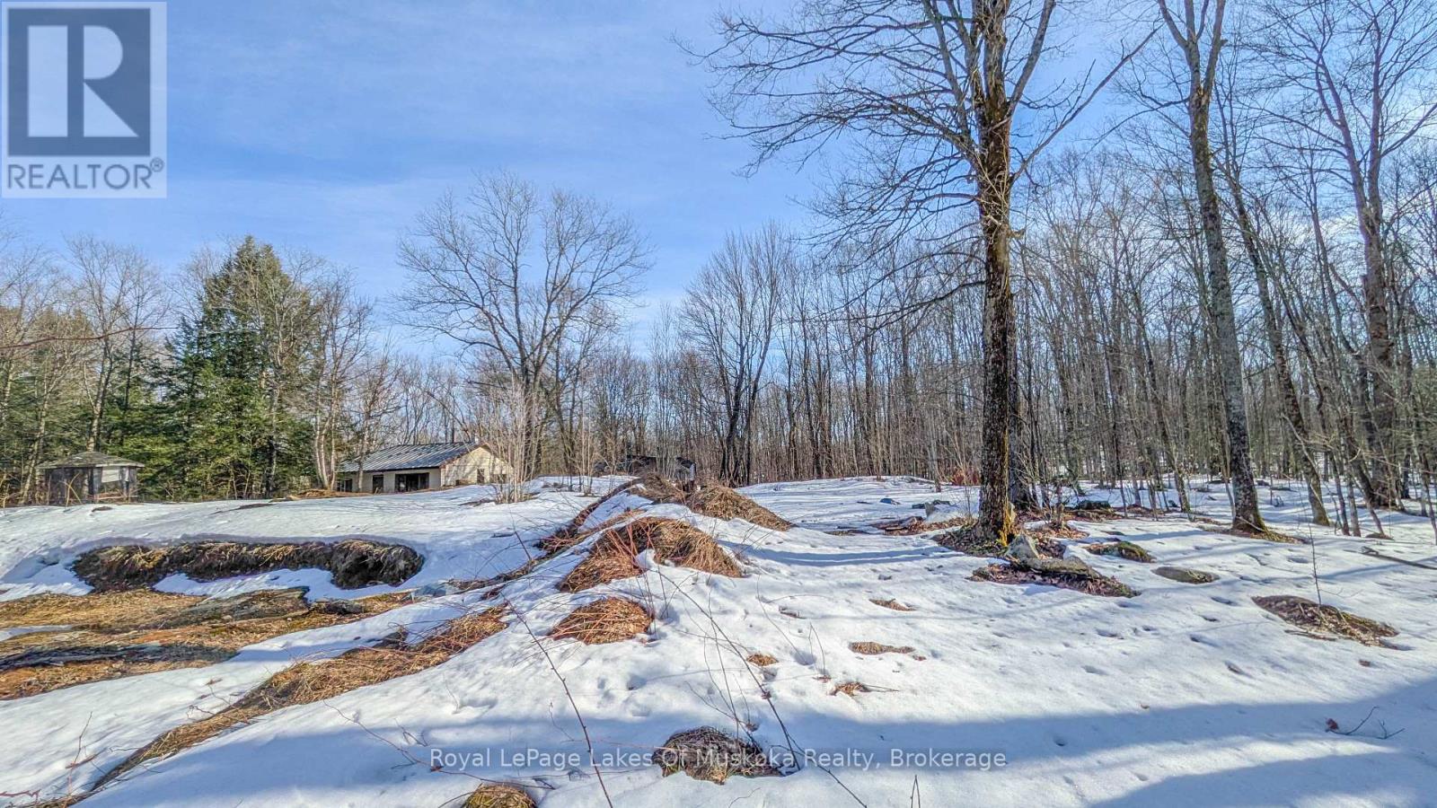 1100 Raymond Road, Muskoka Lakes, Ontario  P0B 1M0 - Photo 2 - X12854322