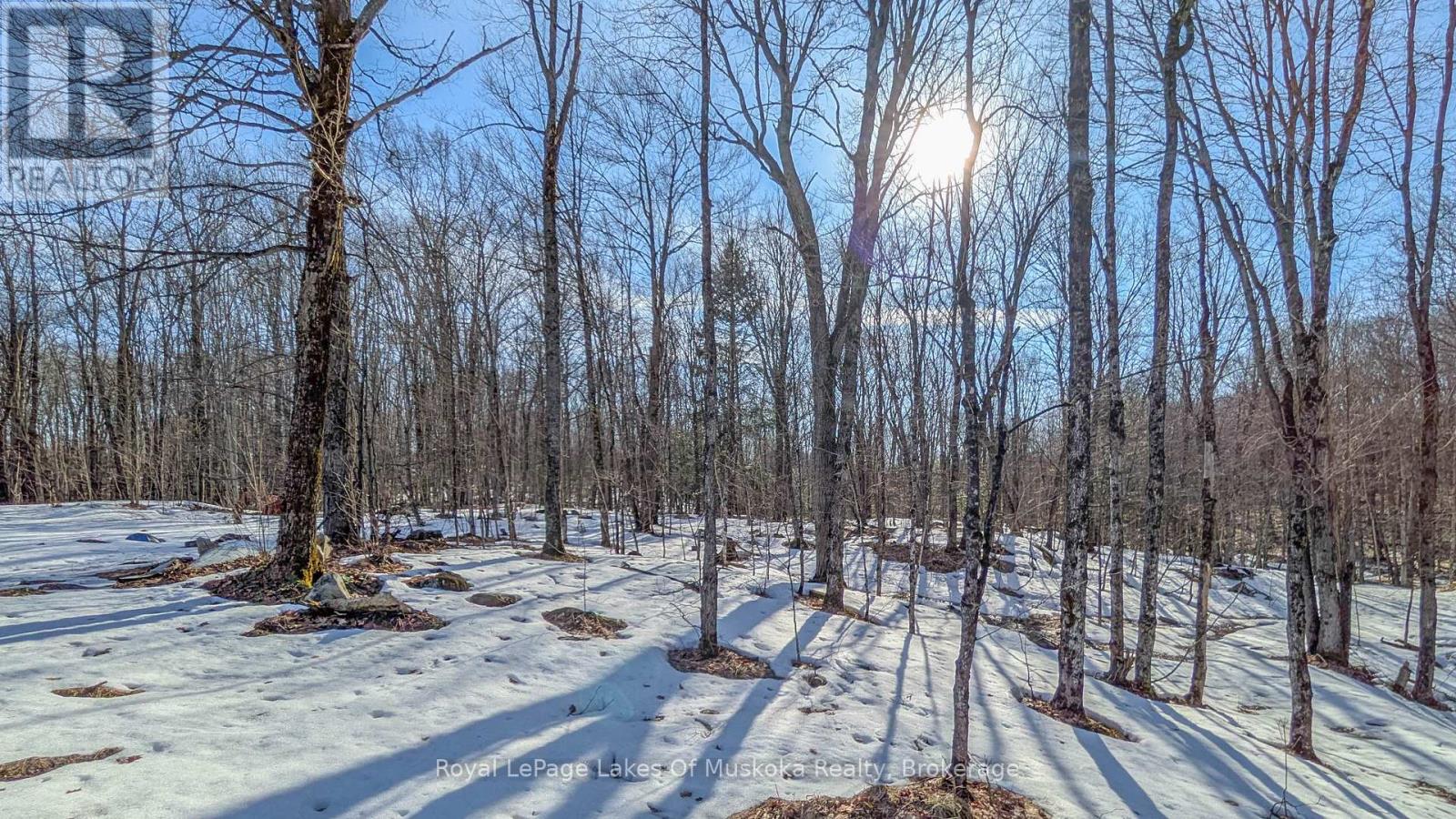 1100 Raymond Road, Muskoka Lakes, Ontario  P0B 1M0 - Photo 13 - X12854322