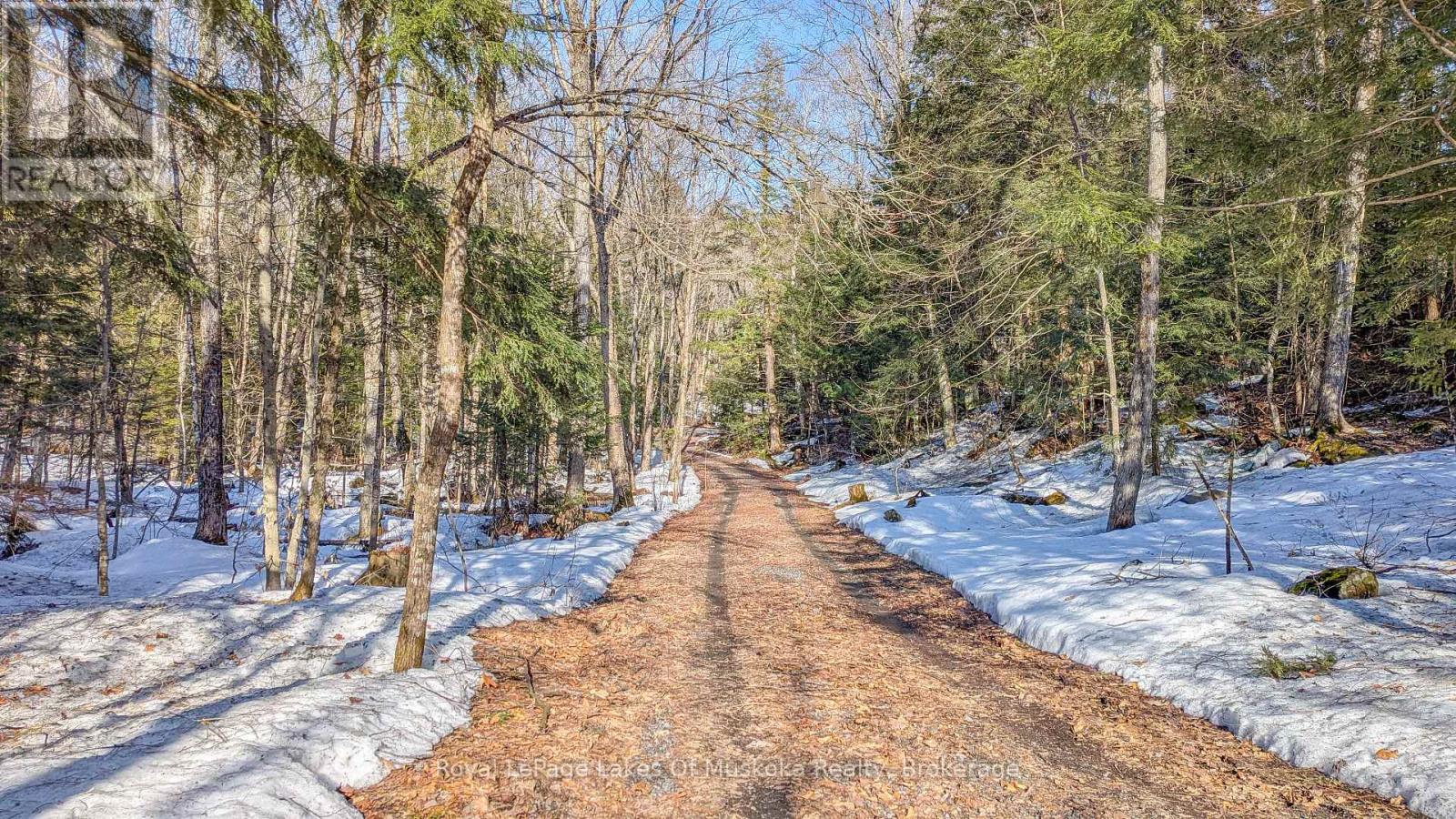 1100 Raymond Road, Muskoka Lakes, Ontario  P0B 1M0 - Photo 8 - X12854322