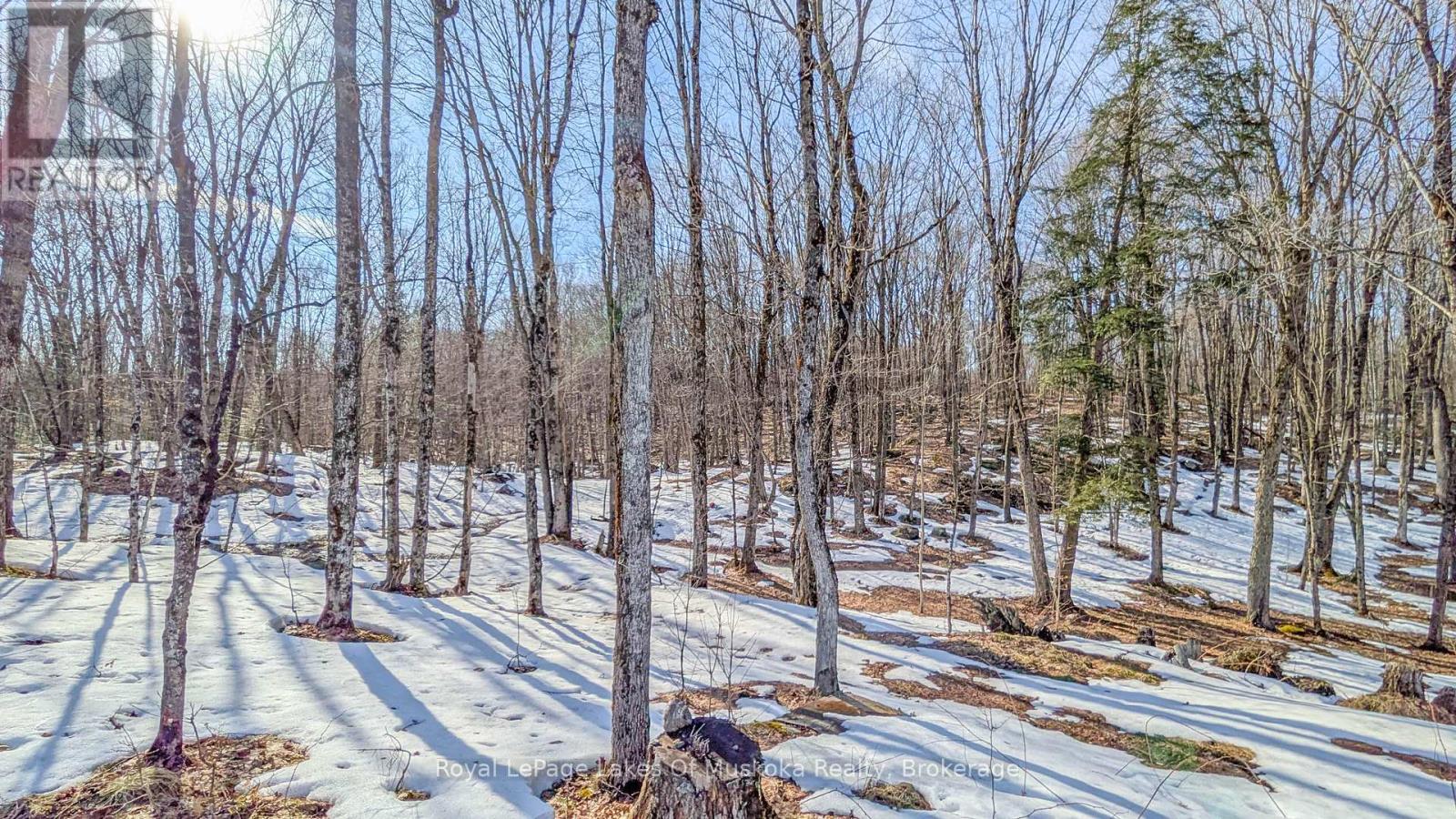 1100 Raymond Road, Muskoka Lakes, Ontario  P0B 1M0 - Photo 14 - X12854322