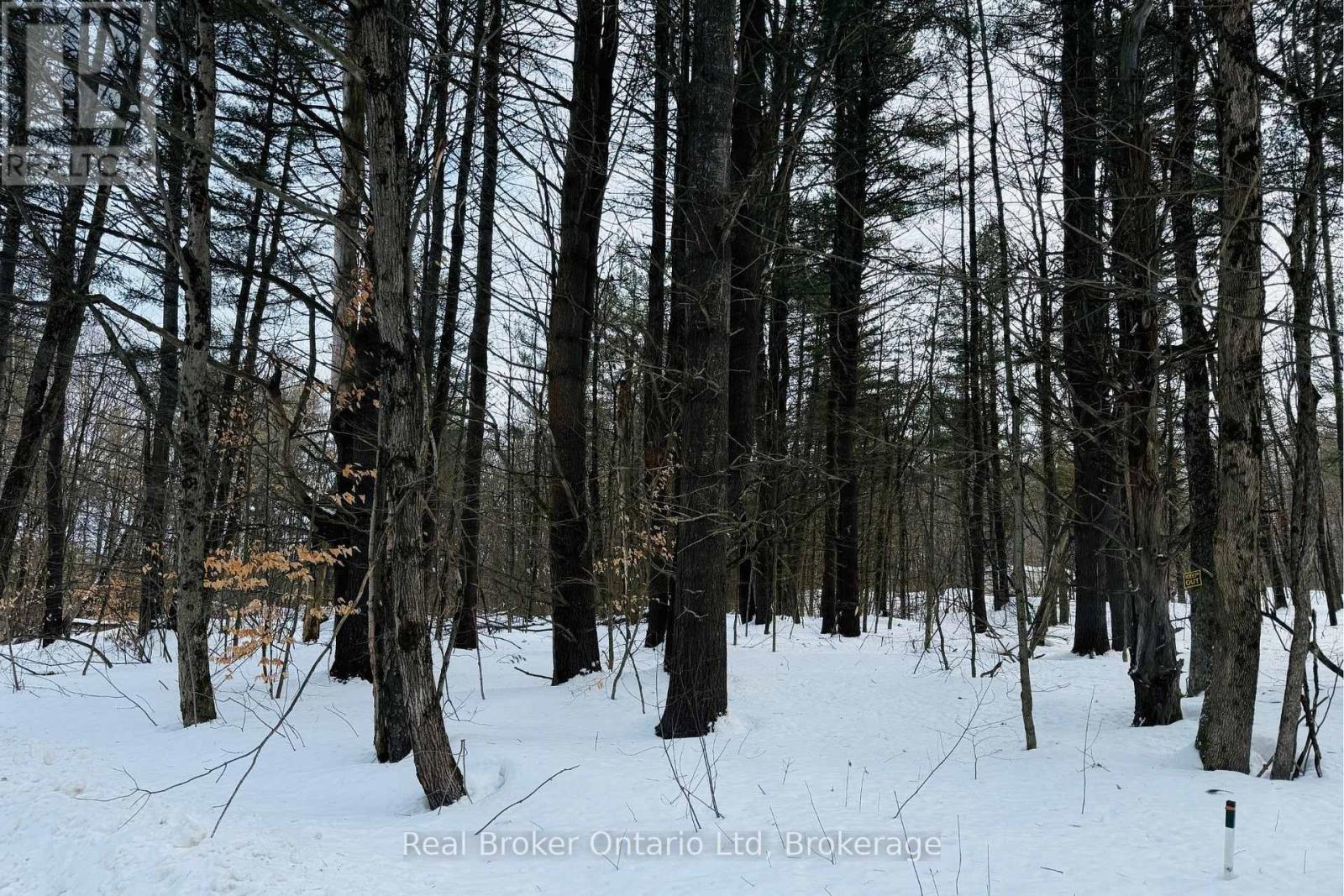 Lt Pt 3 Whites Road, Muskoka Lakes, Ontario  P0B 1J0 - Photo 6 - X12710132