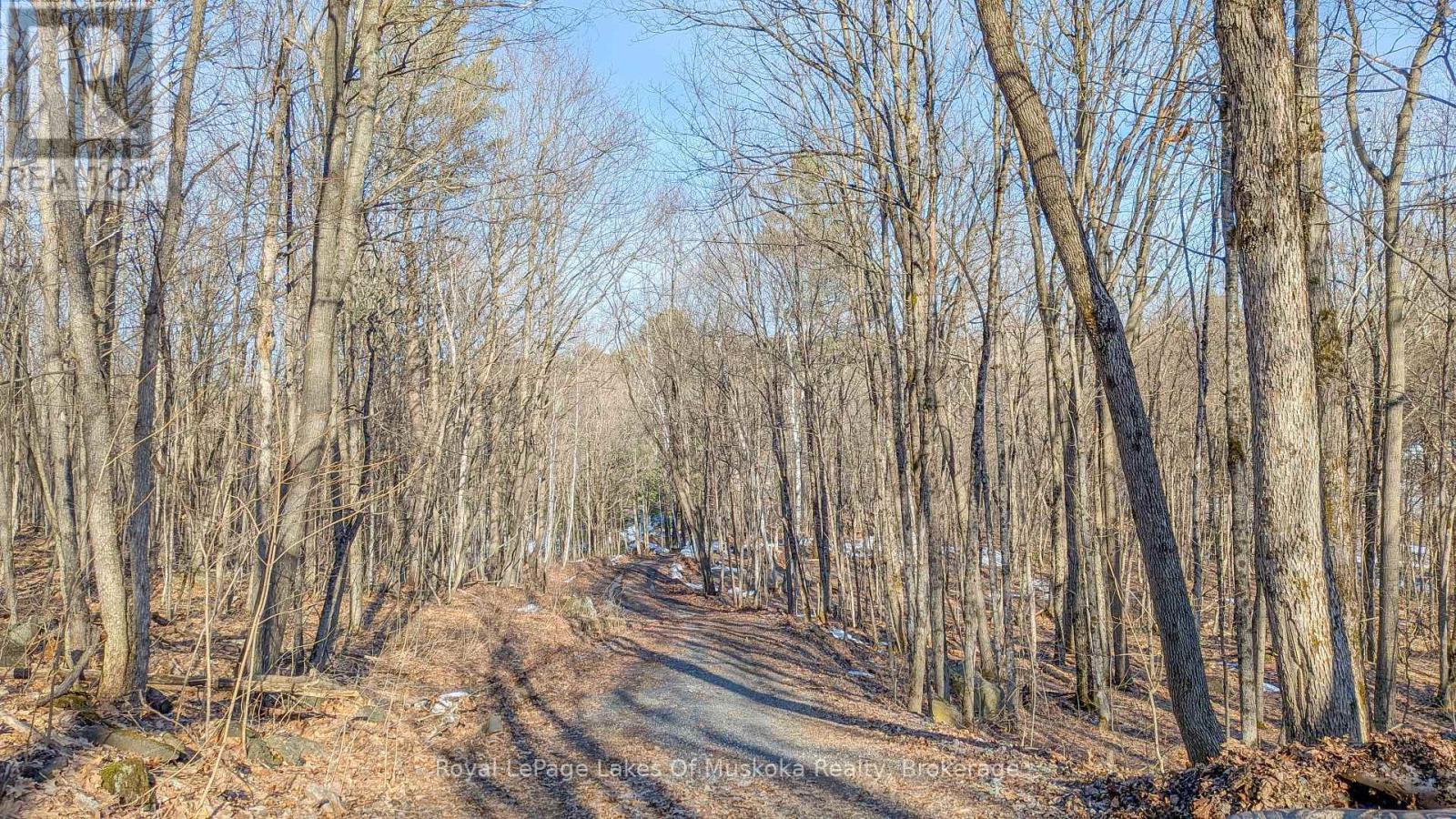 1100 Raymond Road, Muskoka Lakes, Ontario  P0B 1M0 - Photo 9 - X12854322