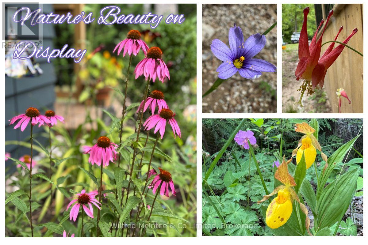 55 Thompson Avenue, Native Leased Lands, Ontario  N0H 2G0 - Photo 42 - X12984866