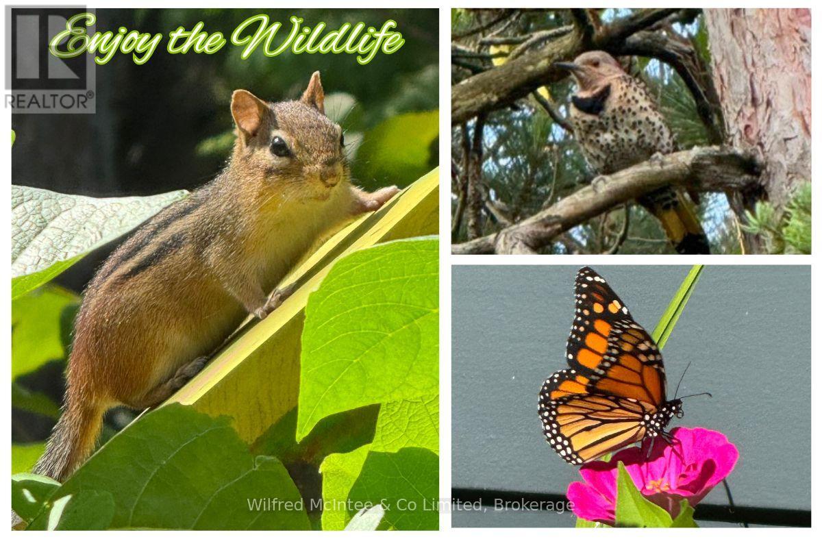 55 Thompson Avenue, Native Leased Lands, Ontario  N0H 2G0 - Photo 44 - X12984866