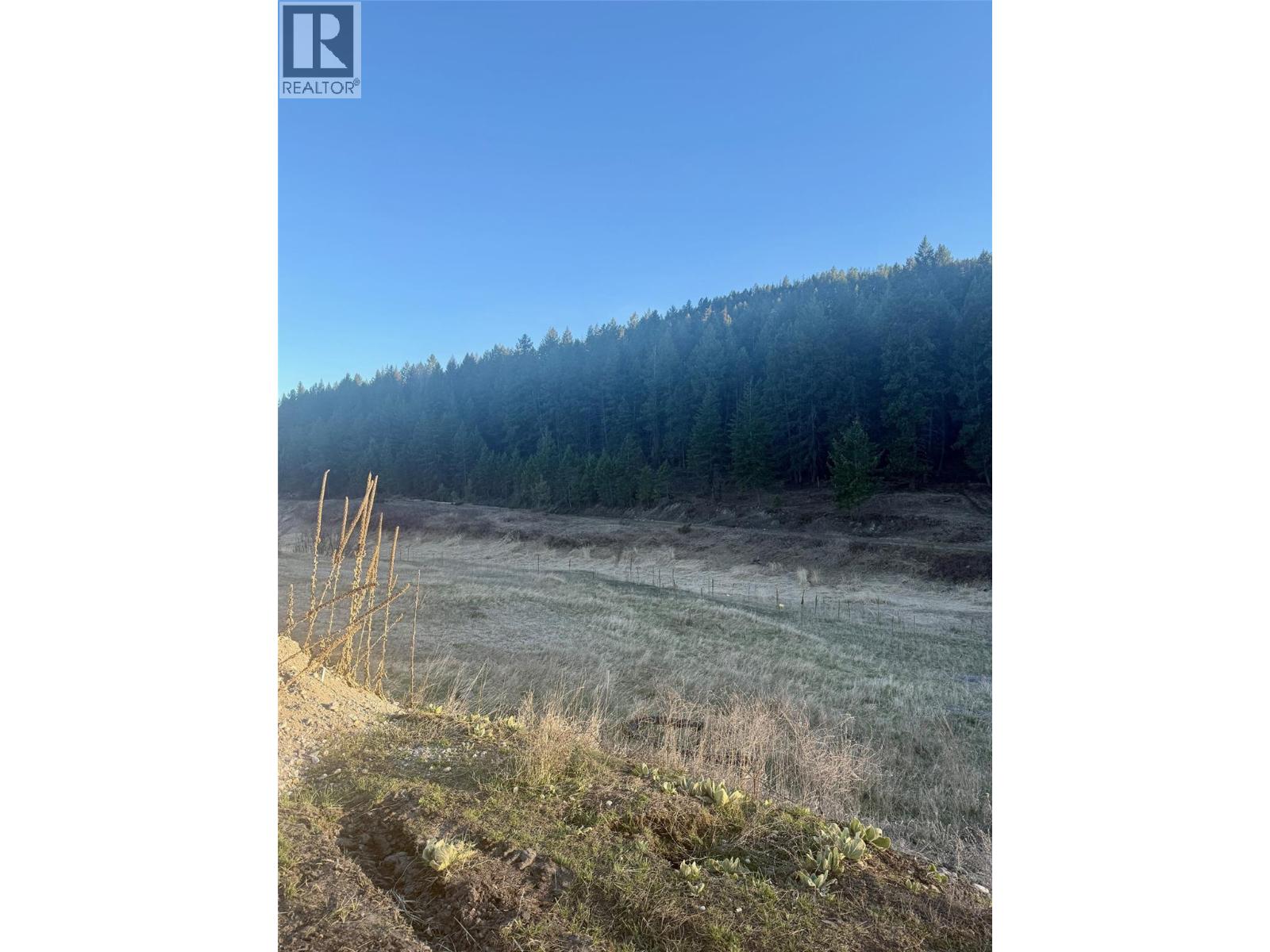 Lot 30 Laurier Avenue, Wardner, British Columbia  V0B 2J0 - Photo 7 - 10382830