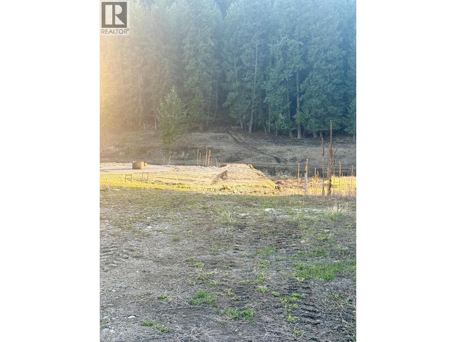 Lot 30 Laurier Avenue, Wardner, British Columbia  V0B 2J0 - Photo 8 - 10382830